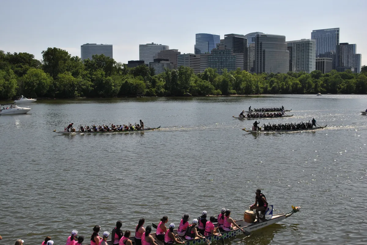 DC Dragon Boat Festival at Georgetown Waterfront Park